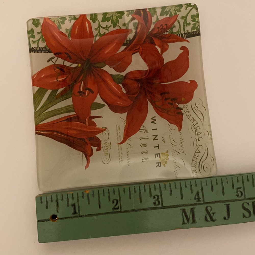 ❌Donated❌Small “Winter Botanical” Dish - Picture 3 of 8